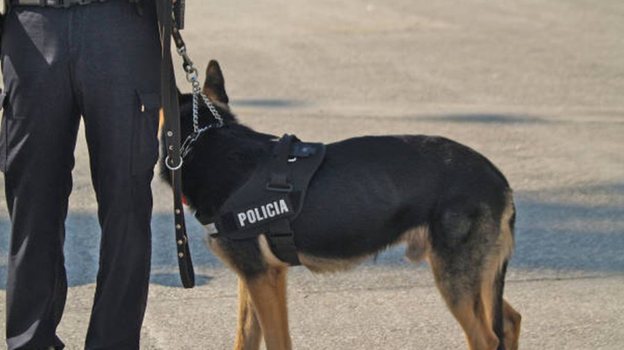 Esfuerzos de búsqueda para un hombre desaparecido de Belfast en España